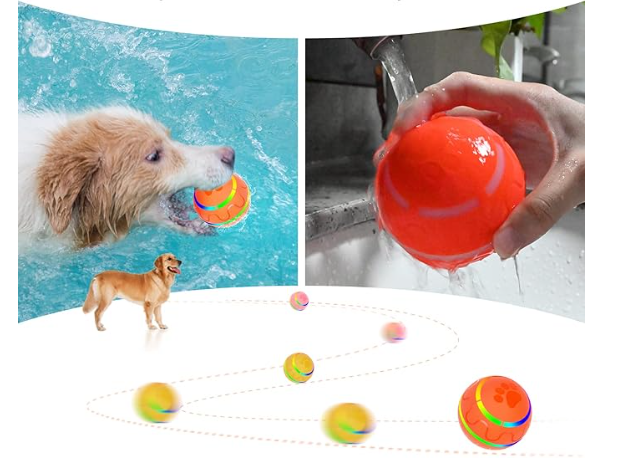 Balle Interactive pour Chien