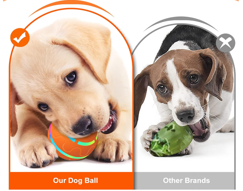 Balle Interactive pour Chien