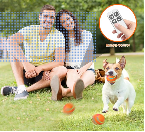 Balle Interactive pour Chien