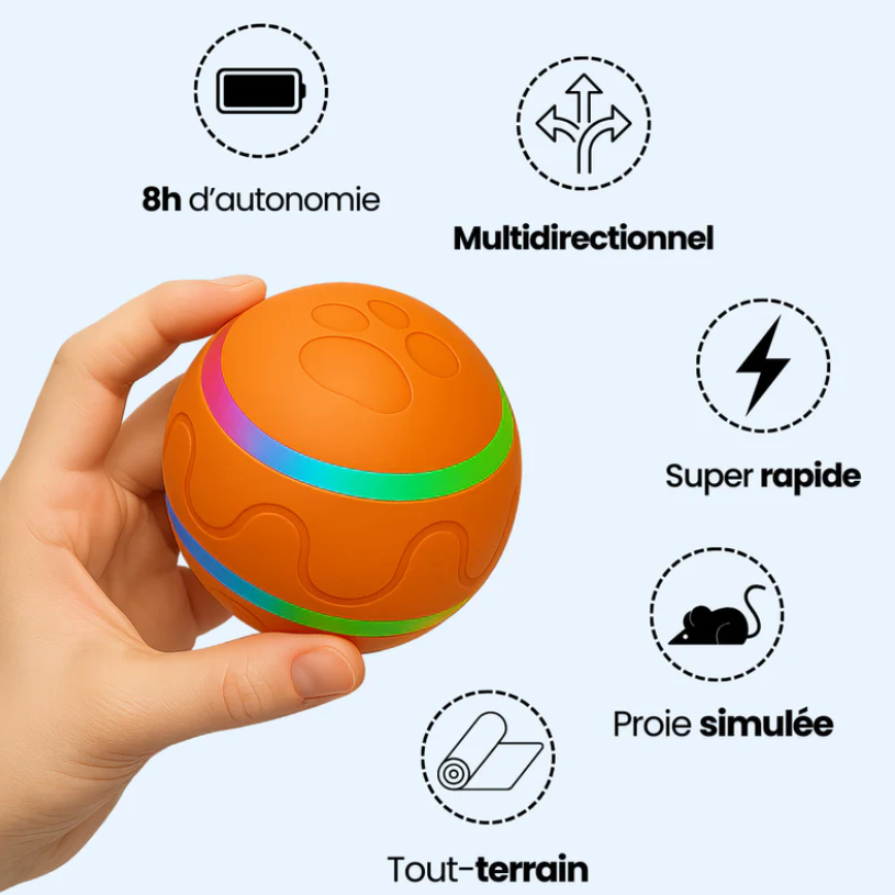 Balle Interactive pour Chien