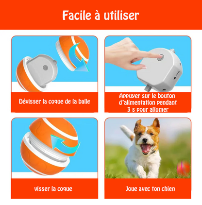 Novayya Balle Interactive pour Chien