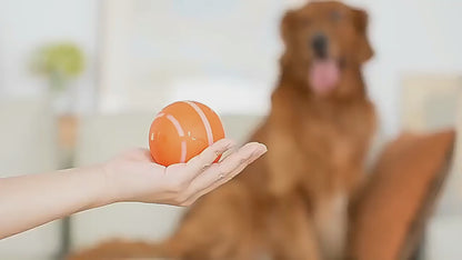 Novayya Balle Interactive pour Chien